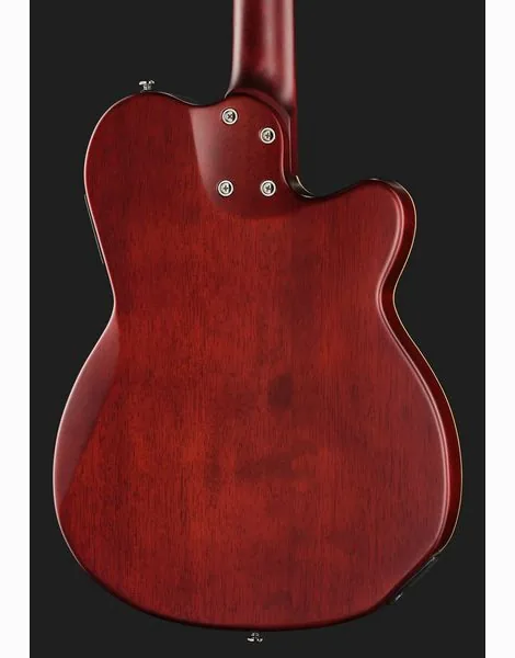 Larry Carlton G5N Natural LH, detail 5
