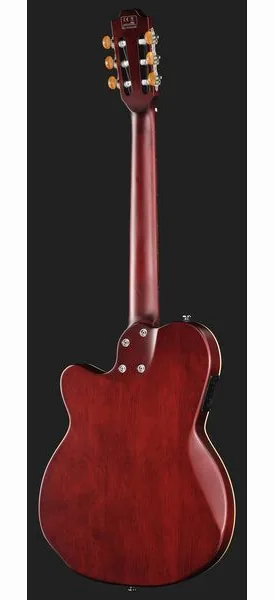 Larry Carlton G5N Natural, detail 3