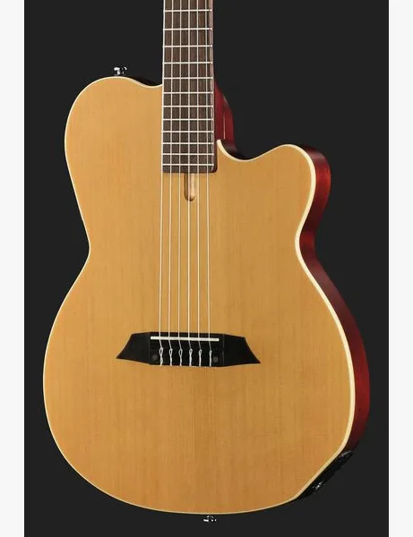 Larry Carlton G5N Natural, detail 4