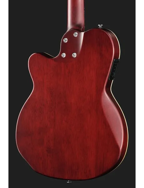 Larry Carlton G5N Natural, detail 5