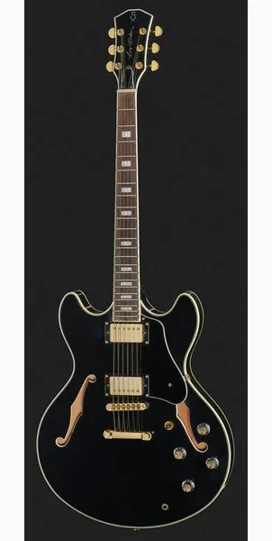 Larry Carlton H7 BK, detail 2
