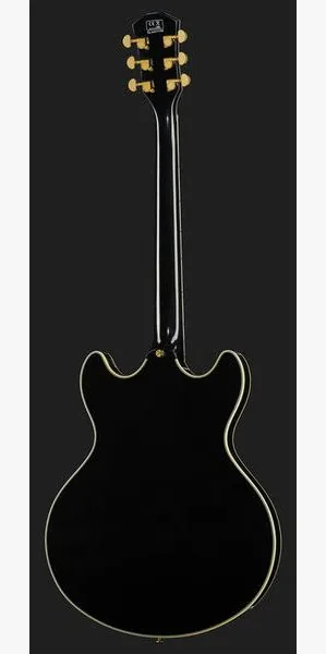 Larry Carlton H7 BK, detail 3