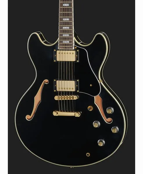Larry Carlton H7 BK, detail 4