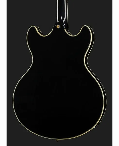 Larry Carlton H7 BK, detail 5