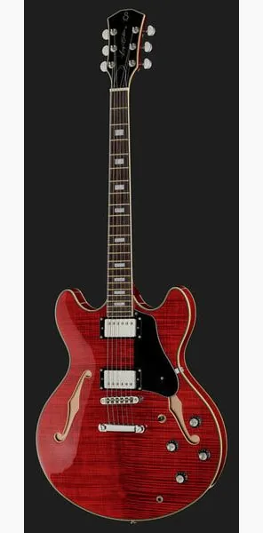 Larry Carlton H7 STR, detail 2
