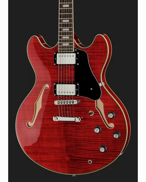 Larry Carlton H7 STR, detail 4