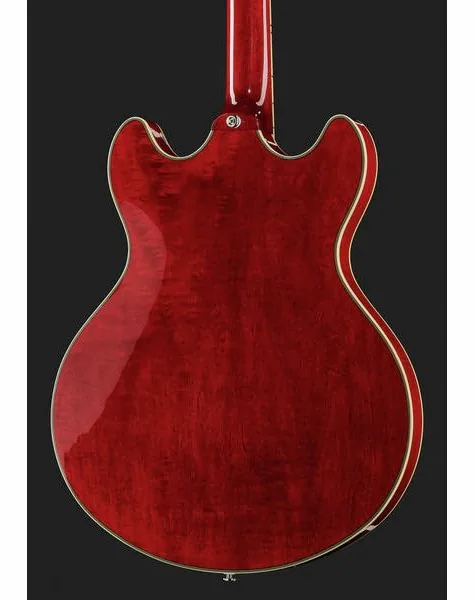 Larry Carlton H7 STR, detail 5