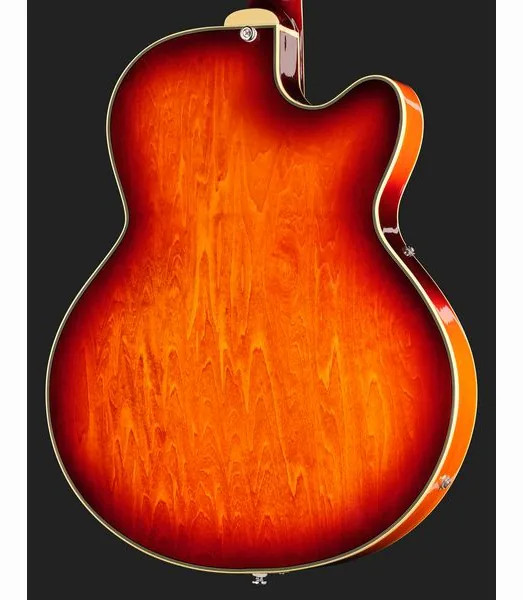Larry Carlton H7F Tobacco Burst LH, detail 5