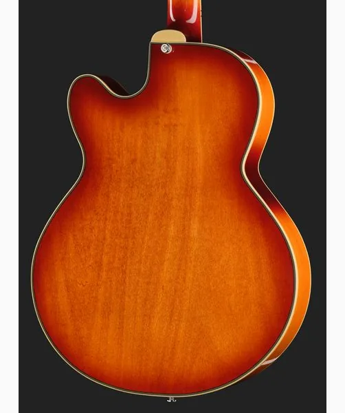Larry Carlton H7F Tobacco Burst, detail 5