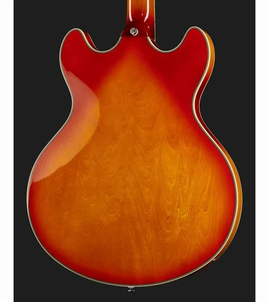 Larry Carlton H7V CS, detail 5