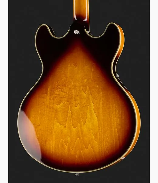 Larry Carlton H7V VS LH, detail 5