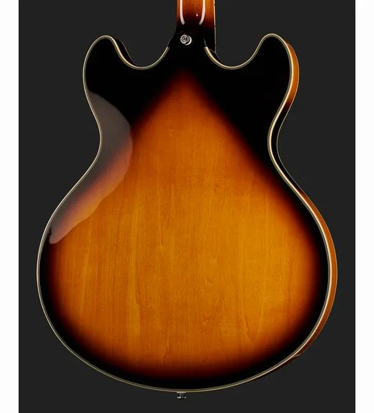 Larry Carlton H7V VS, detail 5