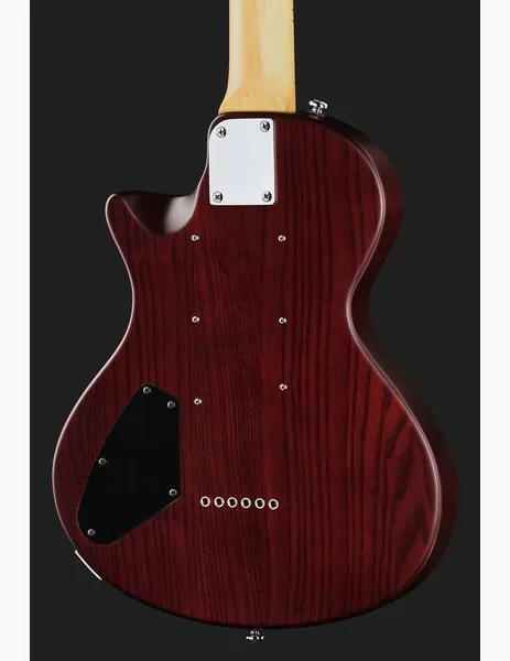 Larry Carlton I5L Tobacco Sunburst Satin, detail 5