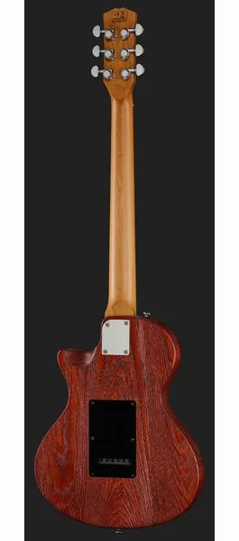Larry Carlton I5S Tobacco Sunburst, detail 3