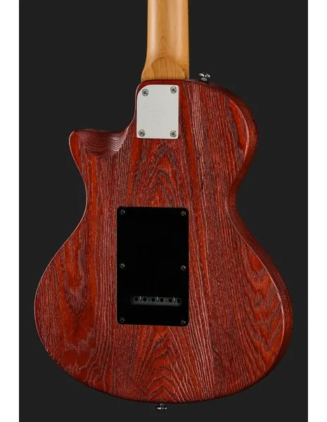 Larry Carlton I5S Tobacco Sunburst, detail 5