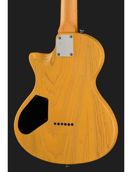 Larry Carlton I5T Butterscotch, detail 5