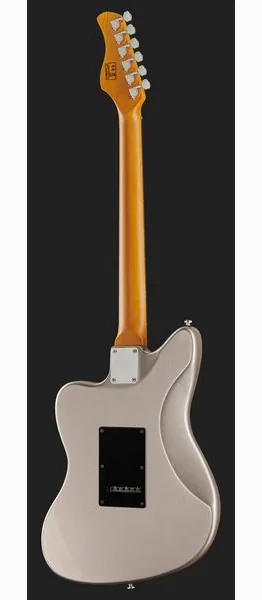 Larry Carlton J3 Silver, detail 3