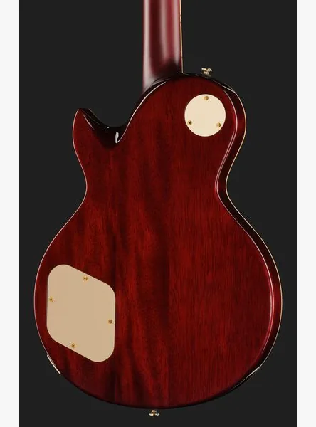 Larry Carlton L7V TS New Gen, detail 5