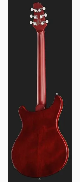 Larry Carlton Q7 Hollow Amber Burst, detail 3