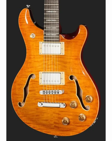 Larry Carlton Q7 Hollow Amber Burst, detail 4