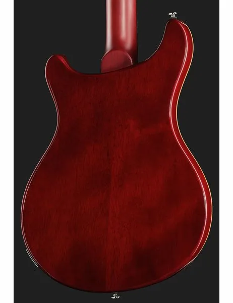 Larry Carlton Q7 Hollow Amber Burst, detail 5