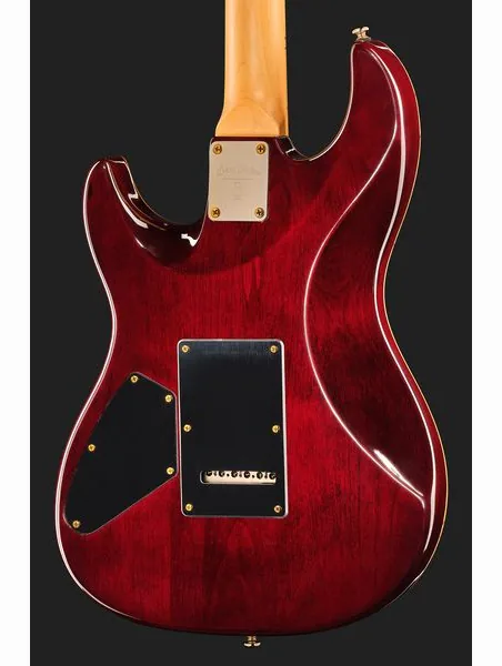 Larry Carlton S10 HSS Natural Burst, detail 5