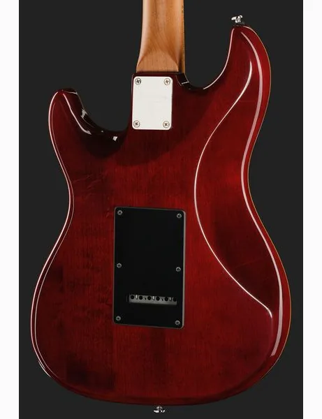 Larry Carlton S7 Ash Top Natural, detail 5