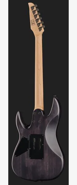 Larry Carlton X5 TBKS, detail 3