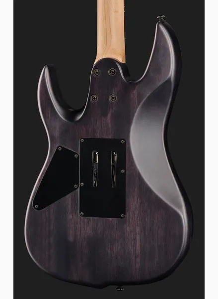 Larry Carlton X5 TBKS, detail 5