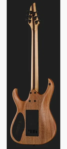 Mayones Guitars Duvell Elite 4Ever 6 PB, detail 3