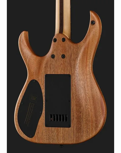 Mayones Guitars Duvell Elite 4Ever 6 PB, detail 5