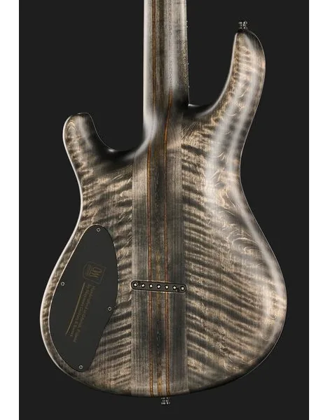Mayones Guitars Regius 7 TDRG, detail 5