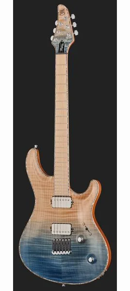 Mayones Guitars Regius Core 6 AMH, detail 2