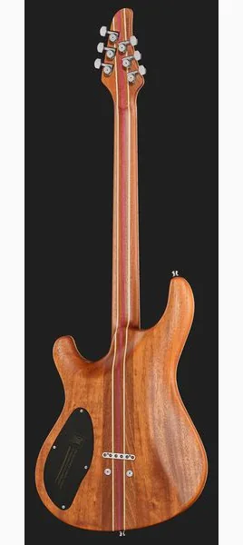 Mayones Guitars Regius Core 6 AMH, detail 3