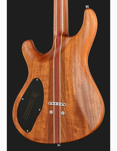 Mayones Guitars Regius Core 6 AMH, detail 5