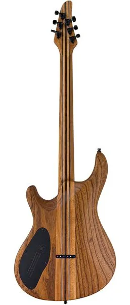 Mayones Guitars Regius Core 6 Poplar, detail 2