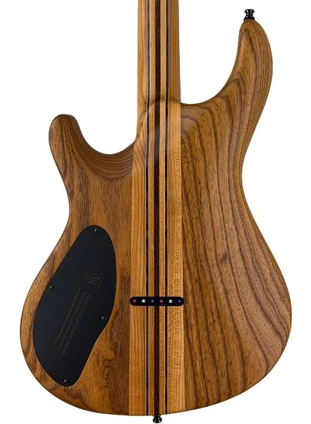 Mayones Guitars Regius Core 6 Poplar, detail 4
