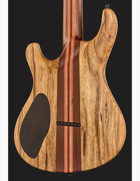 Mayones Guitars Regius Core 7 Trans Graphite, detail 5