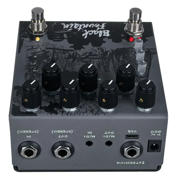 Old Blood Noise Endeavors Black Fountain Stereo Delay SL, detail 5