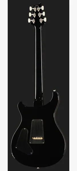 PRS 40th Anniv. Custom 24 SuZ #2, detail 3