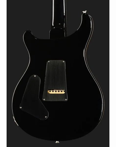 PRS 40th Anniv. Custom 24 SuZ #2, detail 5