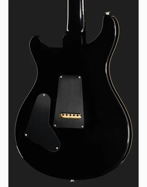 PRS 40th Anniv. Custom 24 SuZ, detail 5