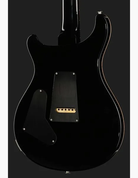 PRS 40th Anniversary Custom 24 SuZ, detail 5