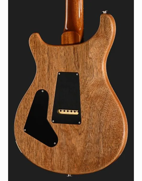PRS 40th Anniversary Custom 24 TE, detail 5