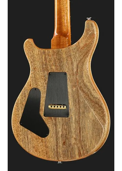 PRS Artist Grade Custom 24 S/H FI, detail 5