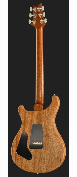 PRS Birds Of A Feather Custom 24 B, detail 3
