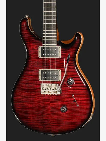 PRS Birds Of A Feather Custom 24 B, detail 4