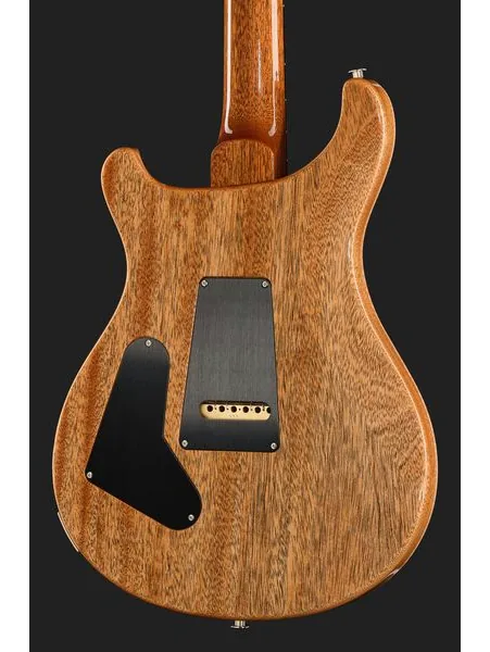 PRS Birds Of A Feather Custom 24 B, detail 5