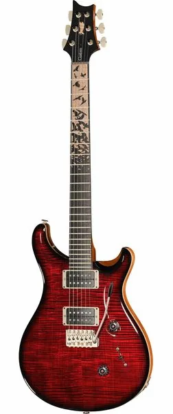 PRS Birds Of A Feather Custom 24 B, front view