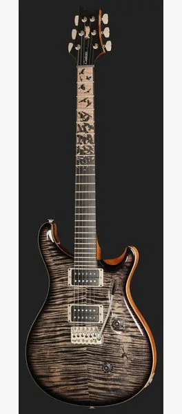 PRS Birds Of A Feather Custom 24 C, detail 2